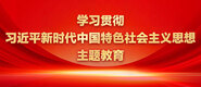 鸡巴日骚穴学习贯彻习近平新时代中国特色社会主义思想主题教育_fororder_ad-371X160(2)